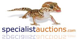 Selling On Specialistauctions.com