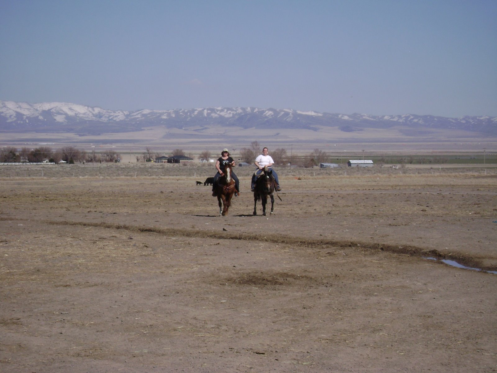 [DSC00781.JPG]