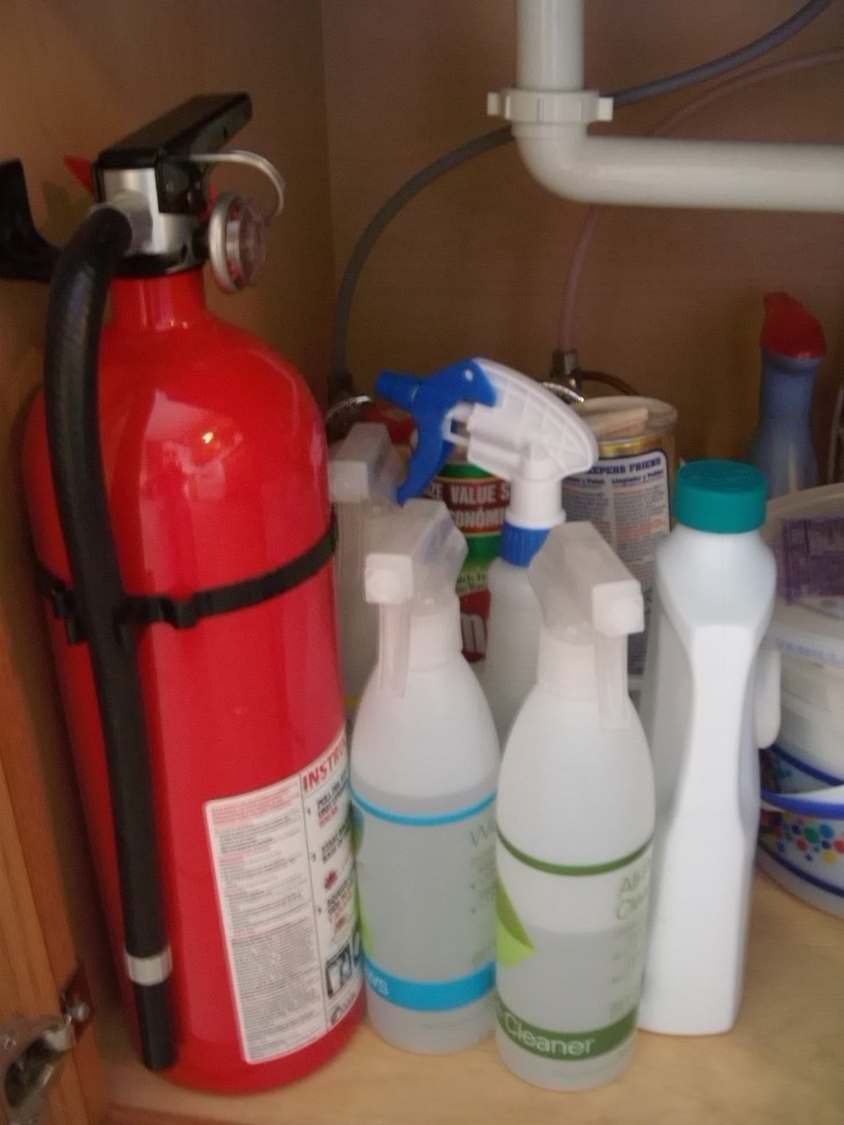 A Little Order Day 5 Under the Kitchen Sink