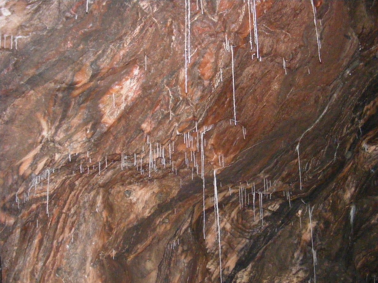 [DSCF0224.JPG]