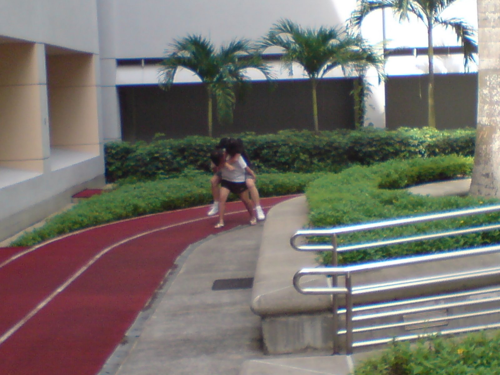 [DSC00783.JPG]
