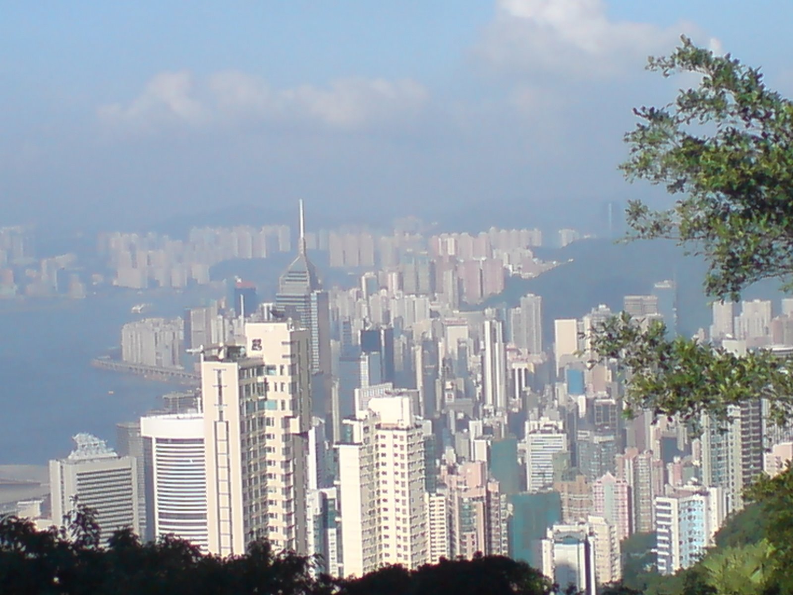 [DSC00971.JPG]