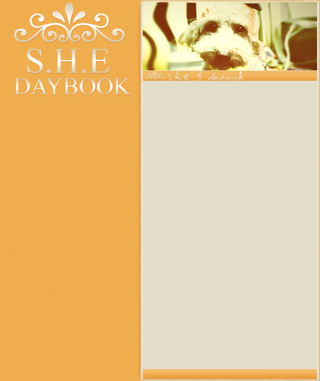 S.H.E 

Daybook