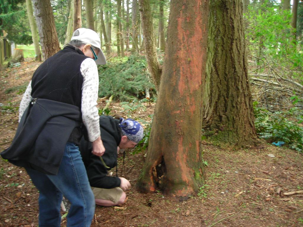 [Hugging+Tree+Cache+#1.JPG]