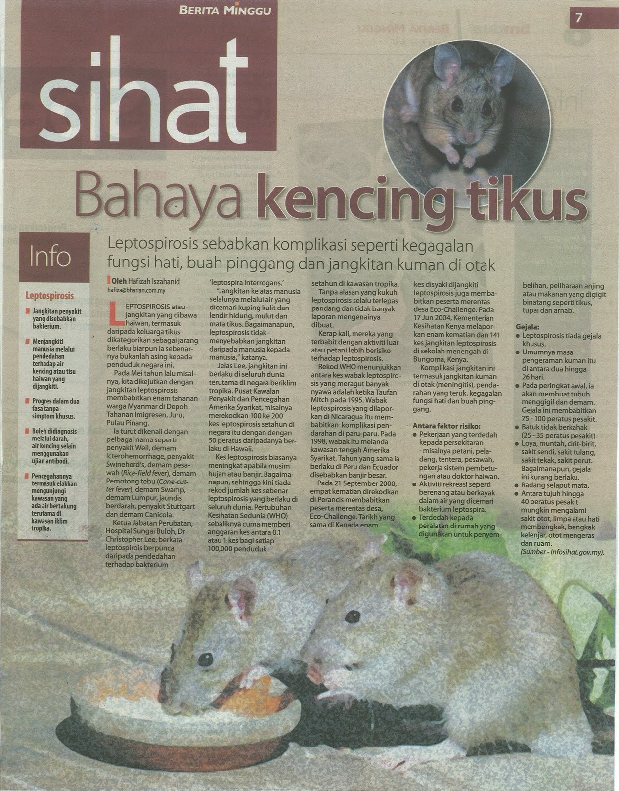 APAKAH ITU PENYAKIT KENCING TIKUS? CariDotMy
