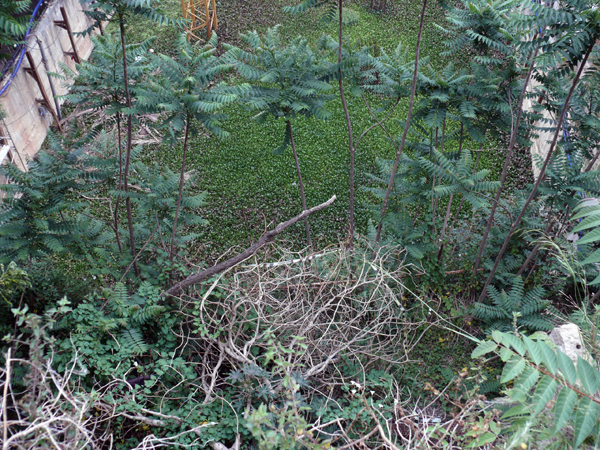 [L1030868.JPG]