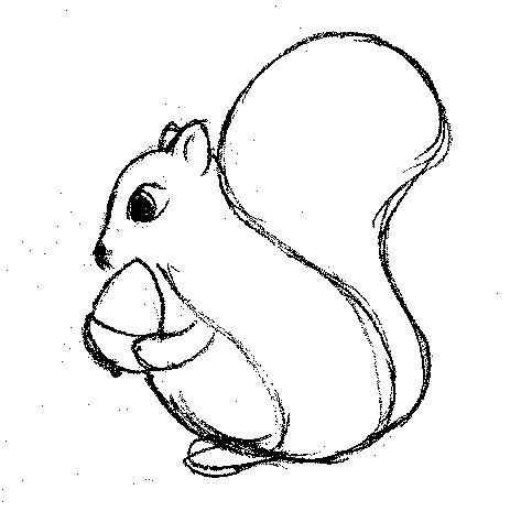 [squirrel.bmp]