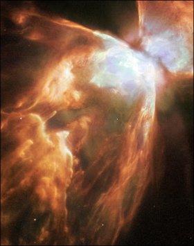 [space_butterfly-thumb.jpg]