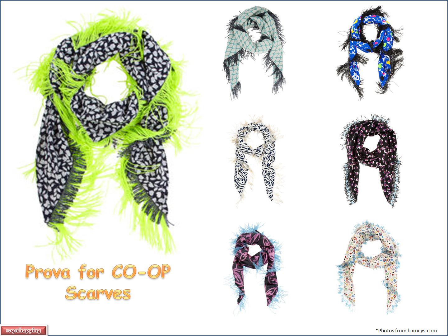 [Prova_Scarves.jpg]