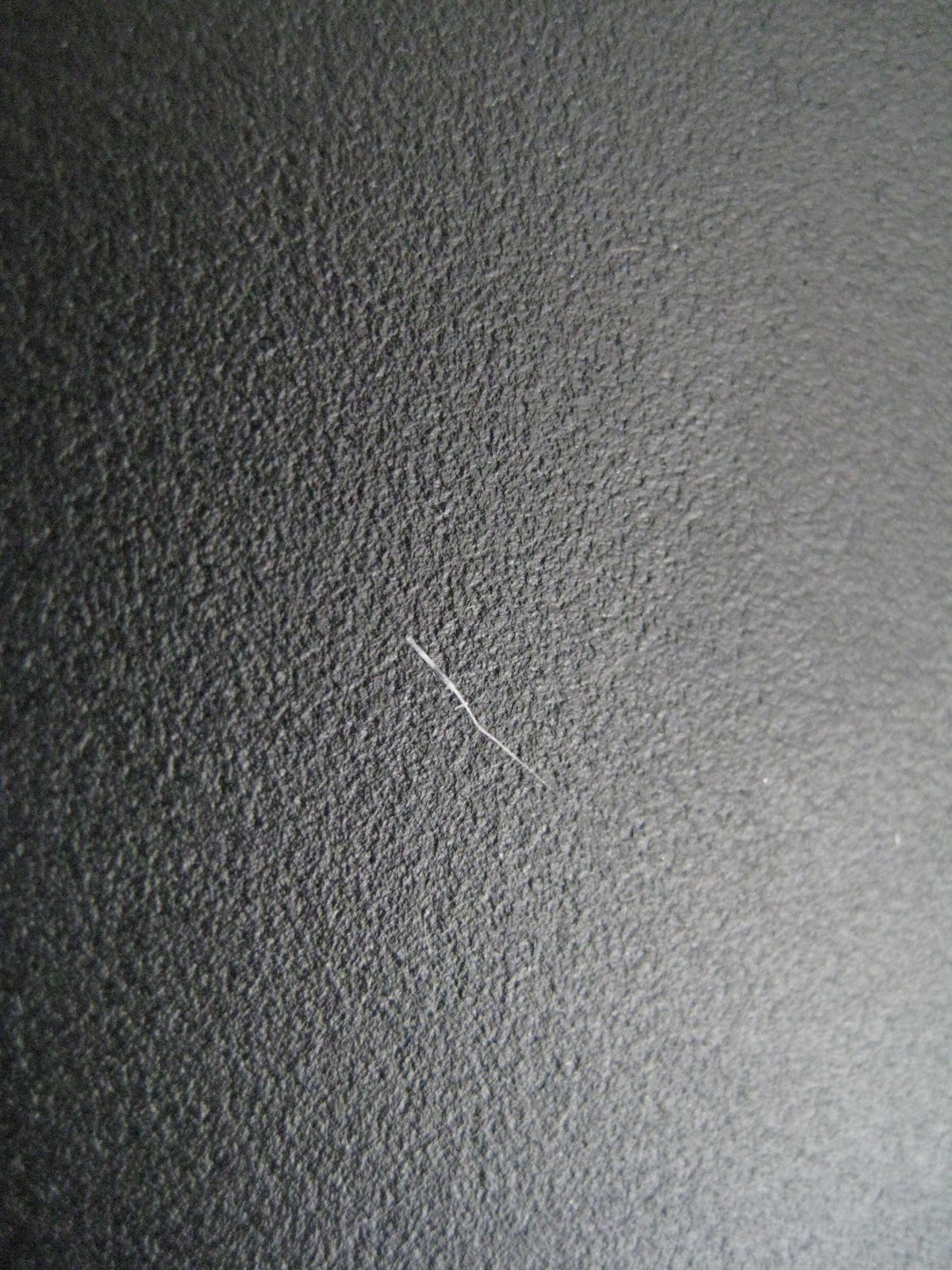 Lil Smug Pug Wtf White Eyebrow Hair