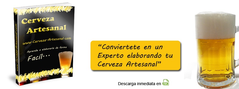 Cerveza Artesanal