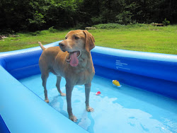 Rudi in his Pool