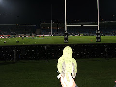 Billybob watching the All Blacks play against France
