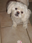 Mimzy