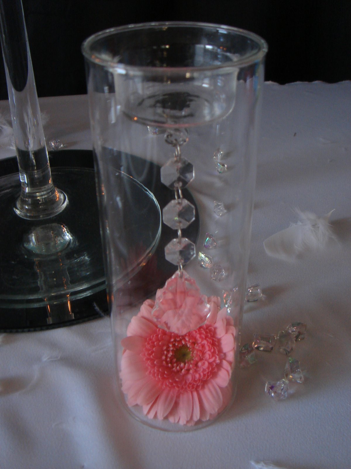 [DSC06331.JPG]