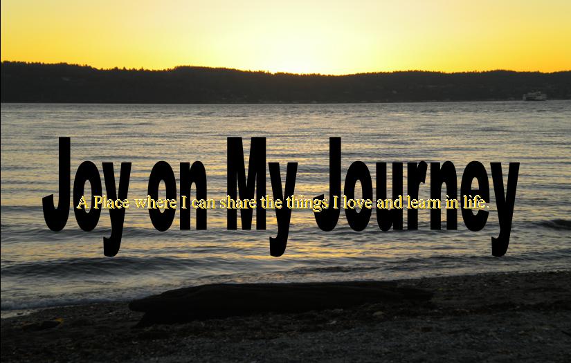 joy on my journey