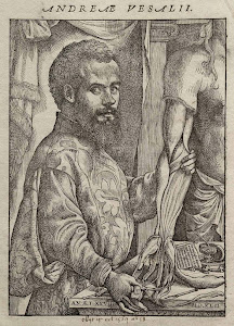 Andrés Vesalio 1514 - 1564