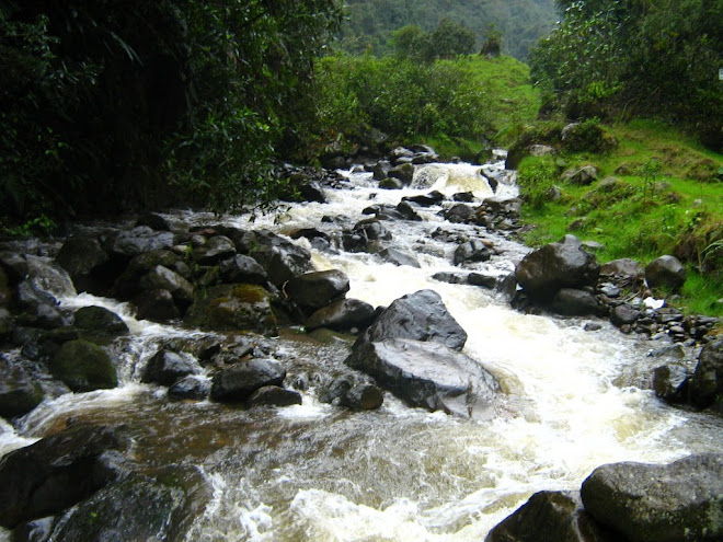 RÍO COMBEIMA.