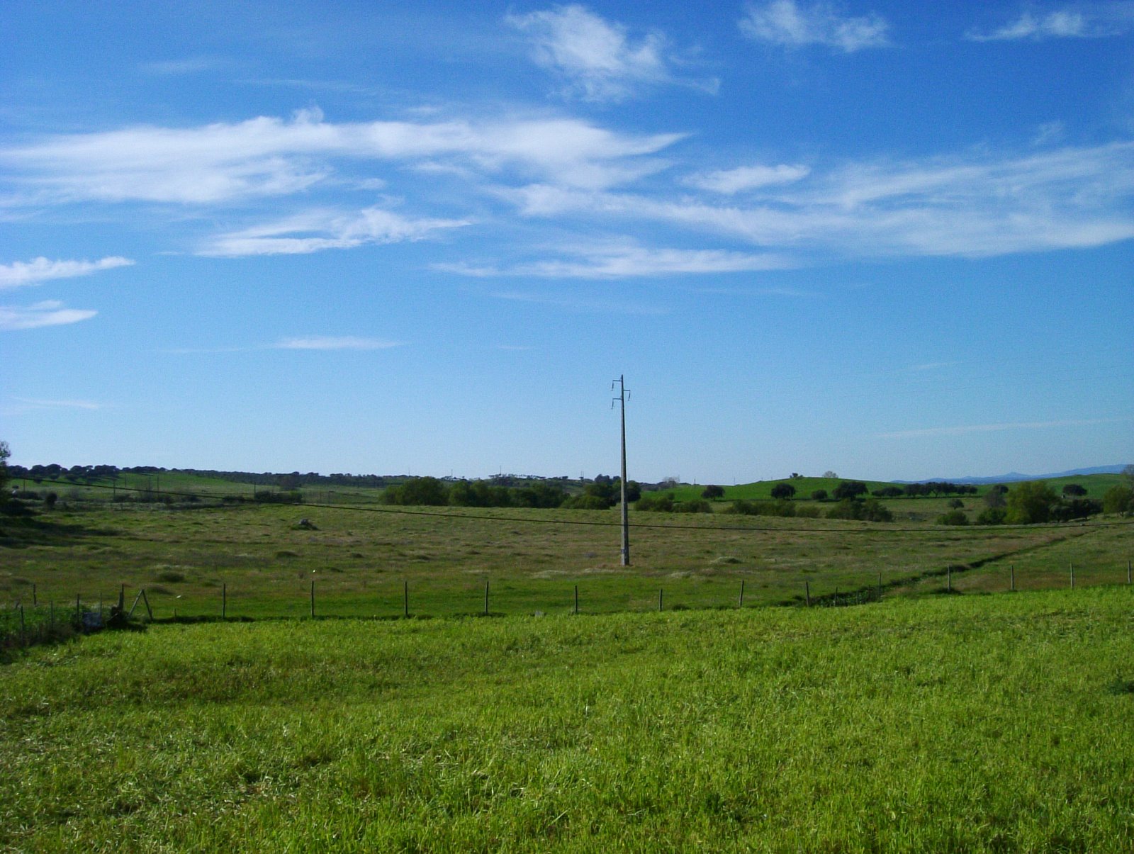 [DSCF3409.JPG]
