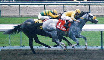 1997 Santa Anita derby Free House and Silver Charm