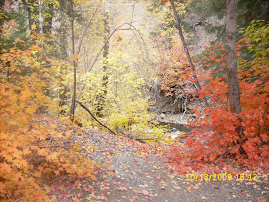 American Fork Canyon in Fall