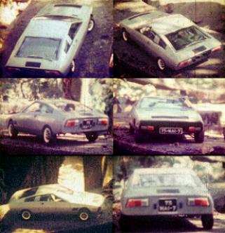 Tree Places 1975
