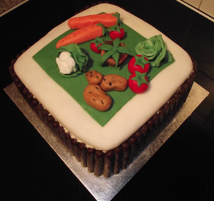 How To Make Professional Cake Fondant Icing Ehow Party ...