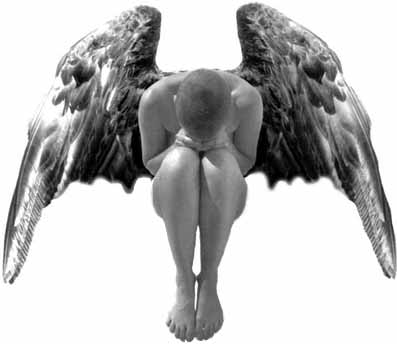 [ANJO.JPG]