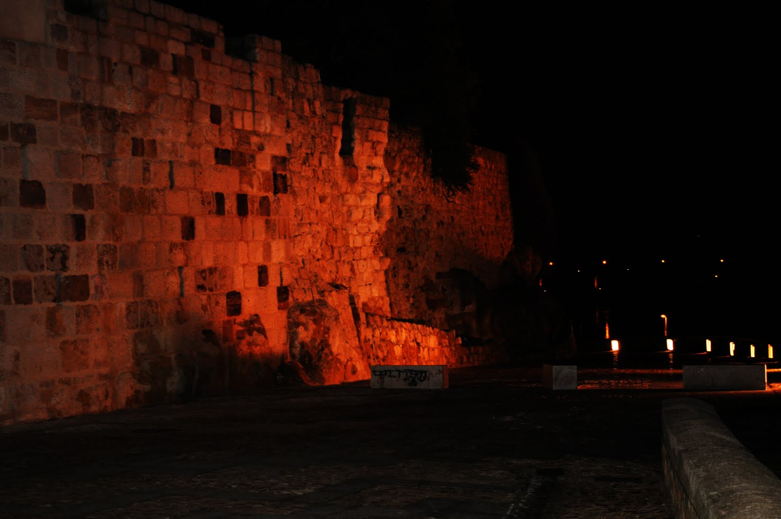 [DSC_0019.JPG]