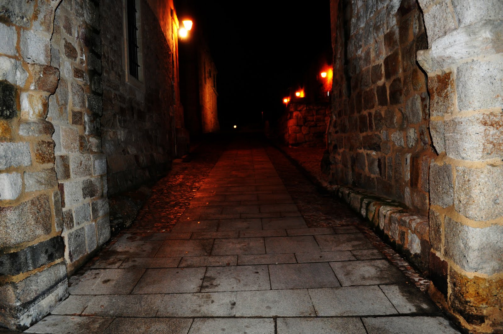 [DSC_0015.JPG]