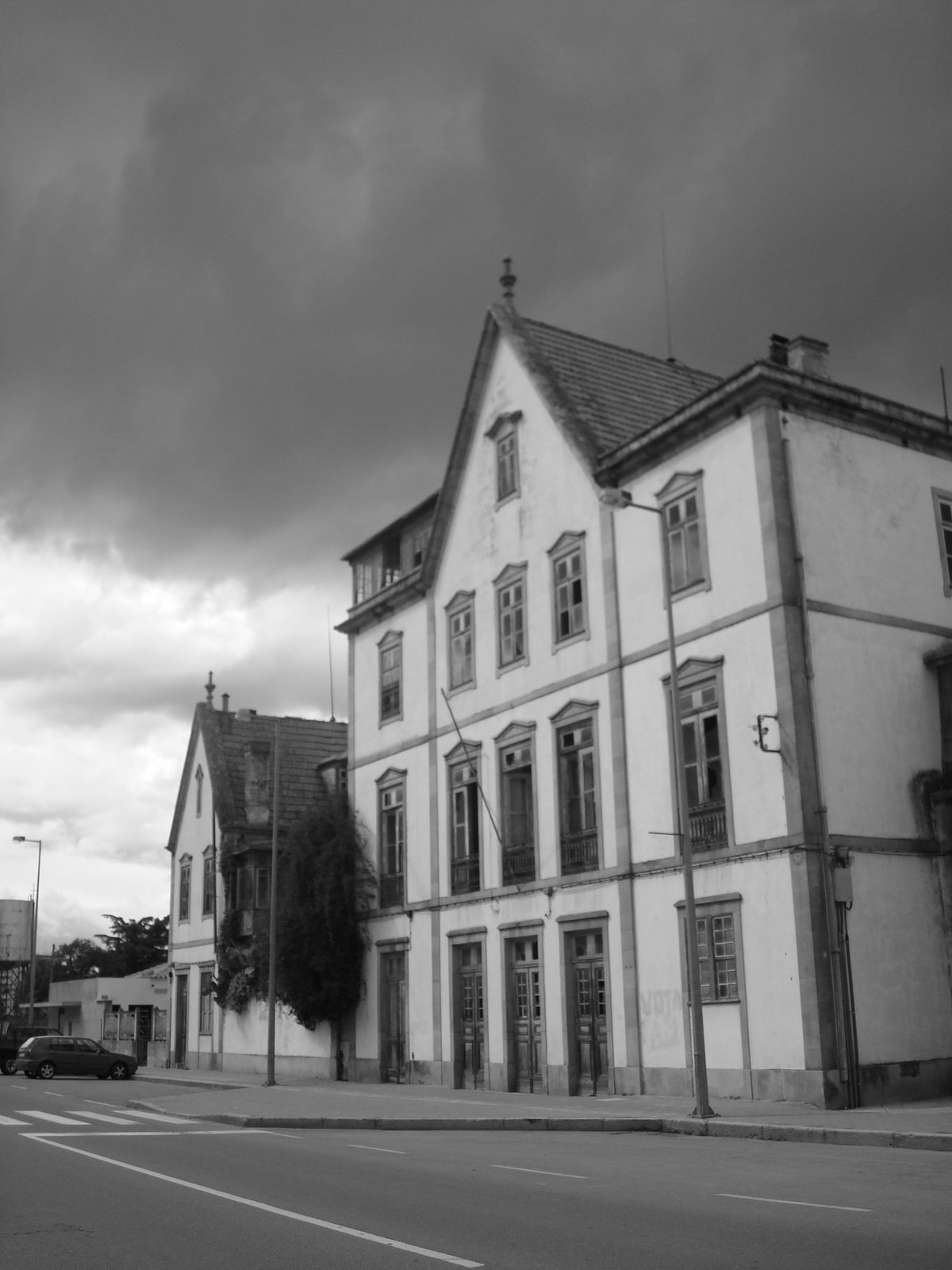 [DSC09774.JPG]