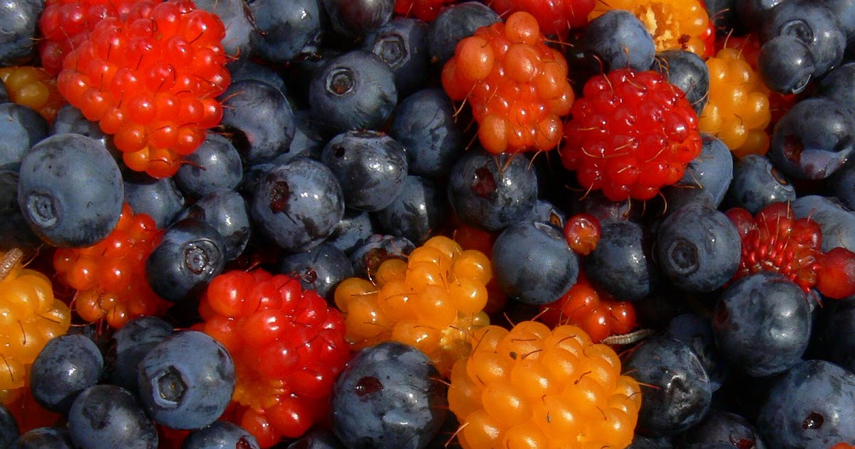 Images of God's Creation in Juneau, Alaska Alaska wild berries