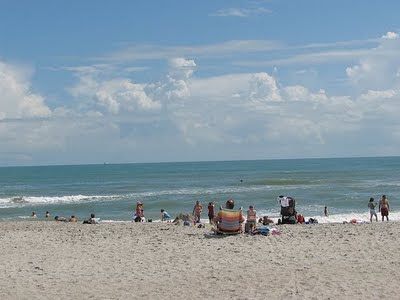 Beautiful Beaches Lake buena vista Beach
