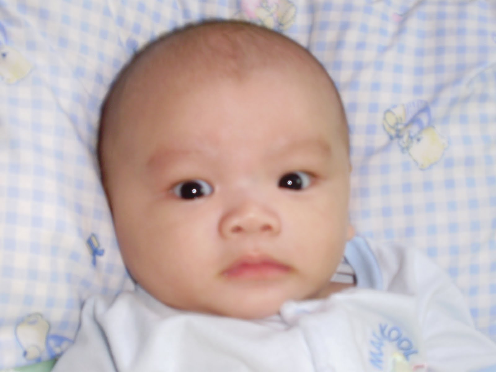 [P9070333.JPG]