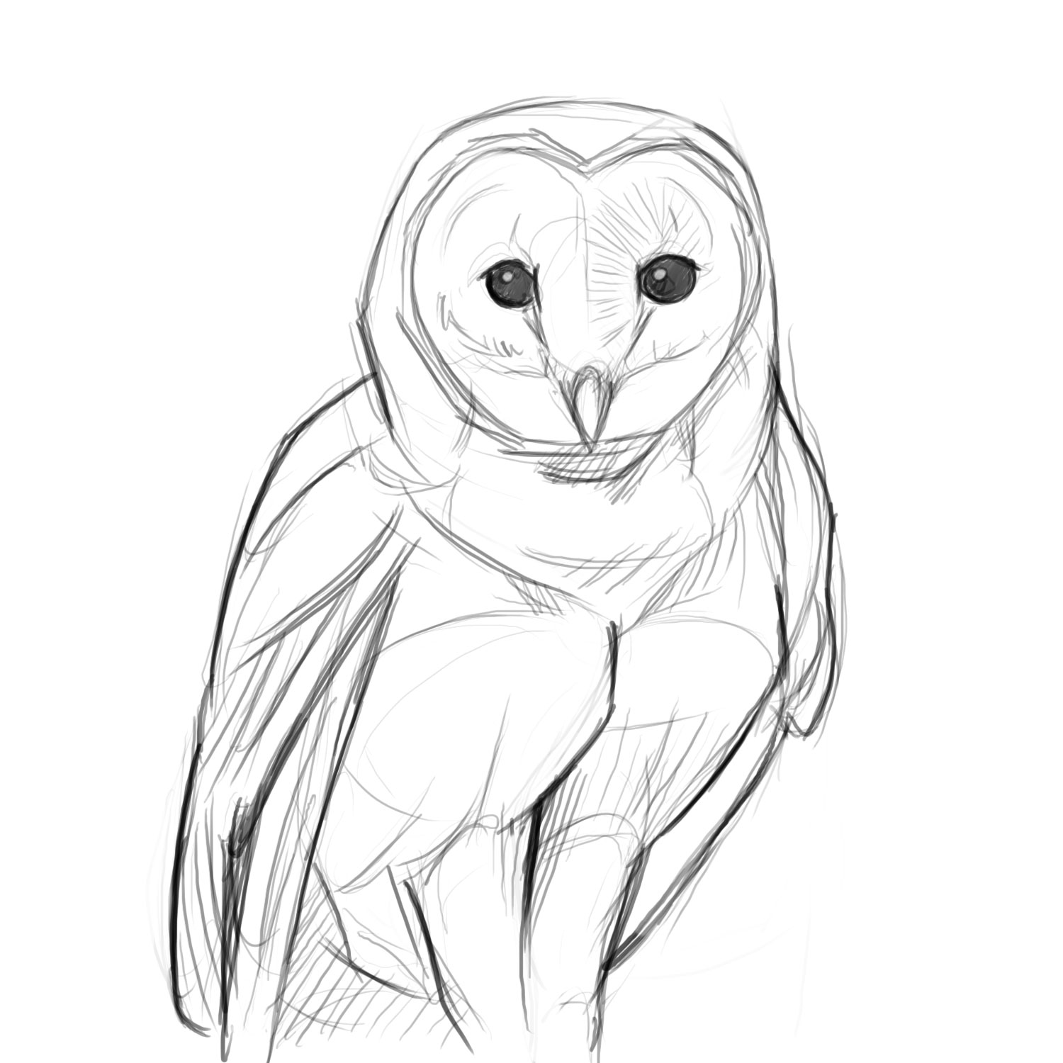 Creative Owl Profil Sketch Drawing for Adult