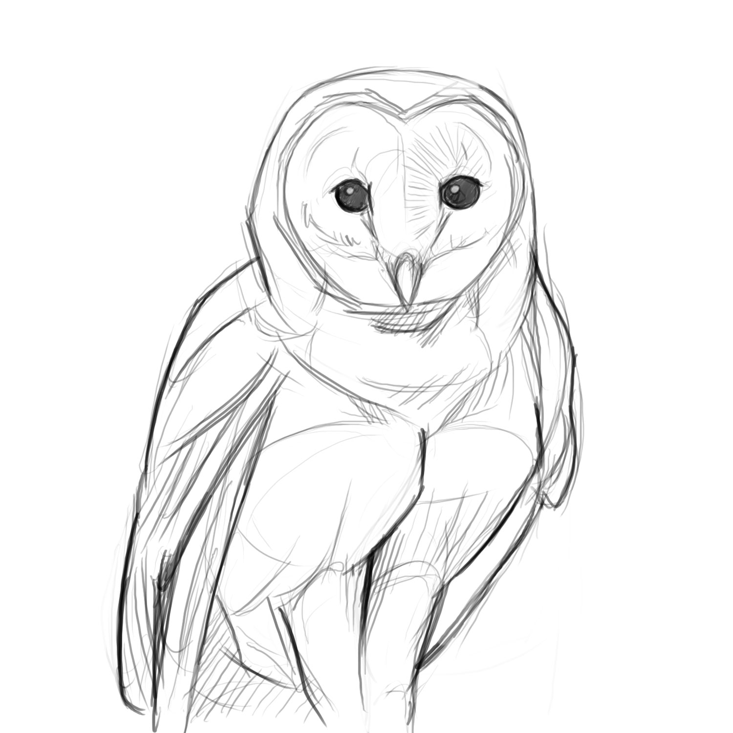 bosch owl sketch bosch owl sketch