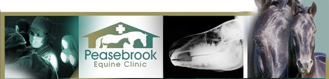 Peasebrook Equine Clinic