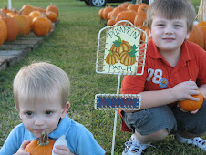 Pumpkin Patch