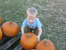 Pumpkin Patch