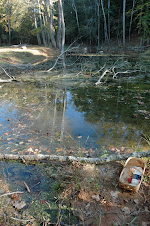 3. Near Pond Spill Way, Carter Mill Park