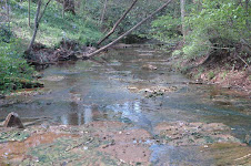 14. Dean's Woods - SpringCreek