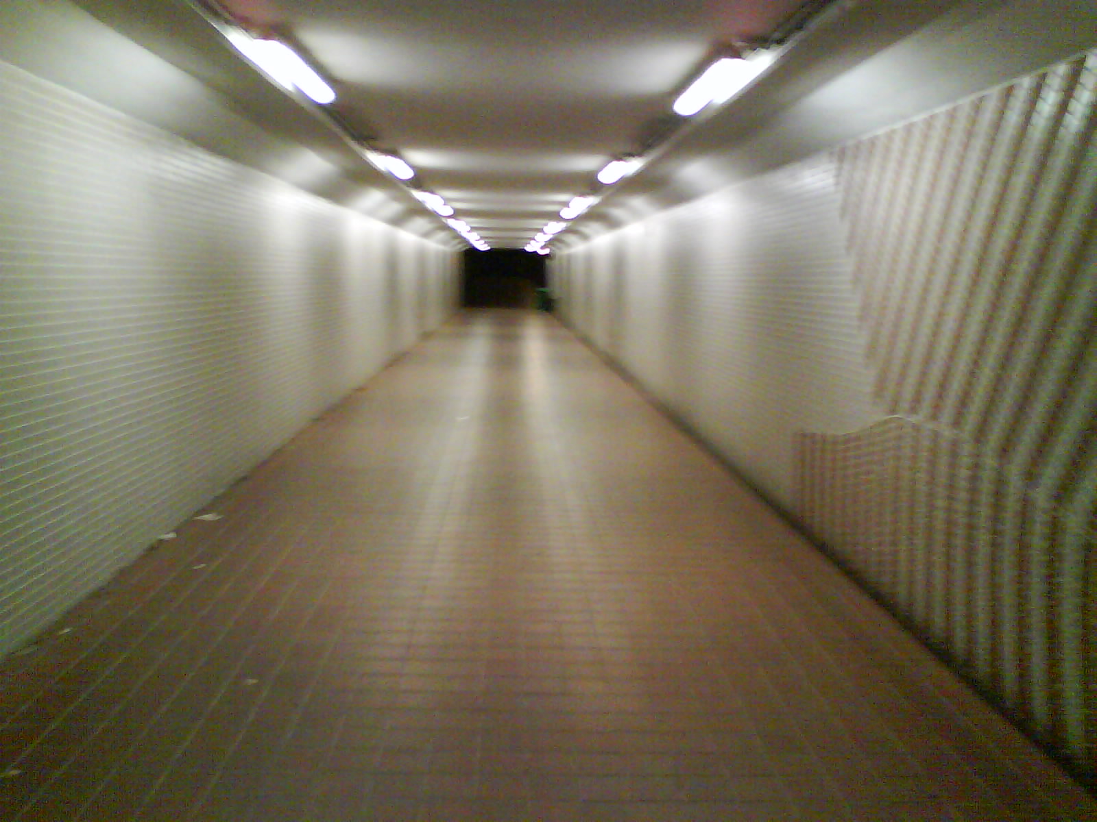 [DSC00012.JPG]
