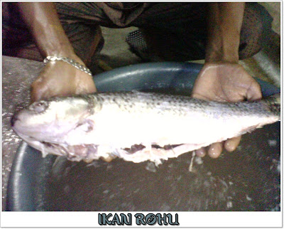 ikan bakar