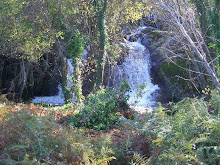 cascada de agua arroyo de la Miera, Valencia de Alcántara