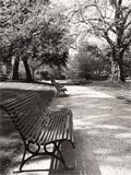 [park..bmp]