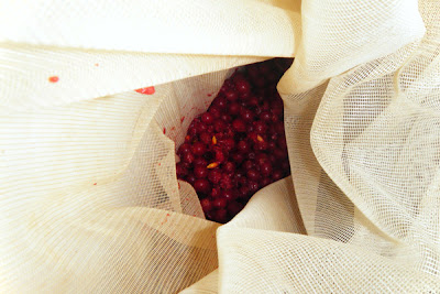 olive autumn wine making smashed berries primary bag some