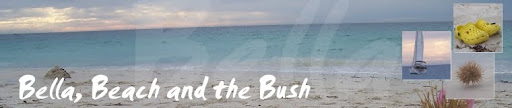 Bella, Beach and the Bush