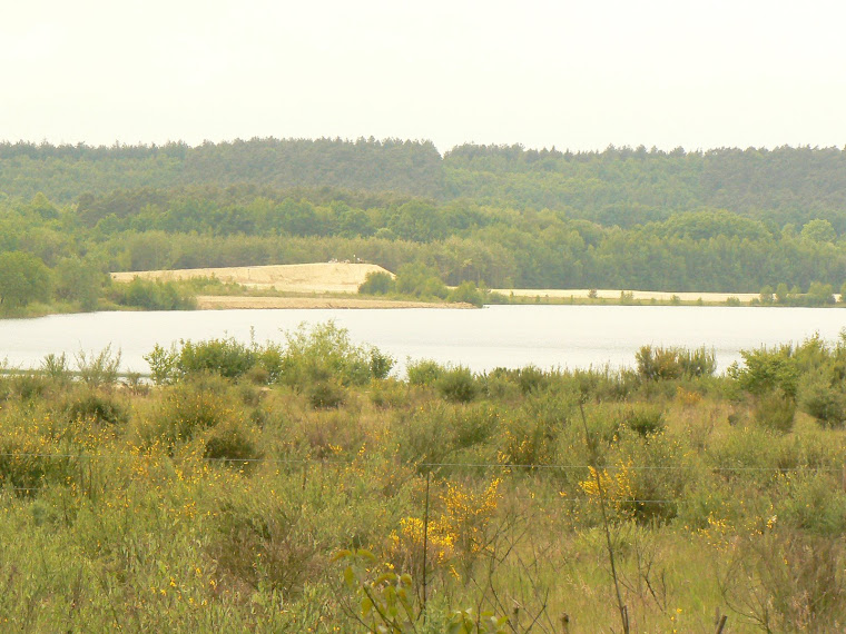 BOKERIELTJES ROUTE 25  MEI  2008