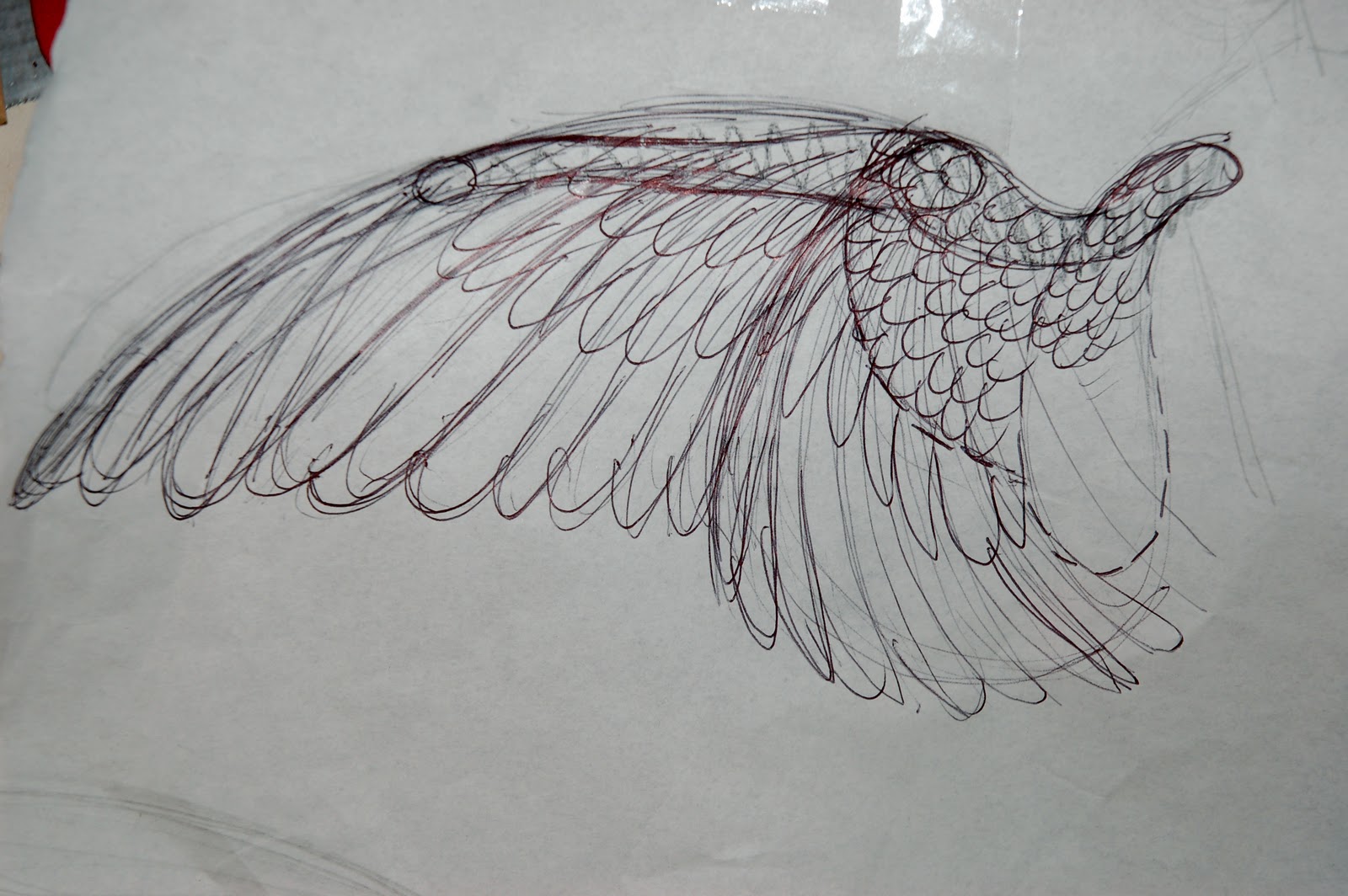 Angel Wing Sketch