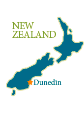 country map dunedin Dunedin, NZ: Fibre Plans Business Case Questioned